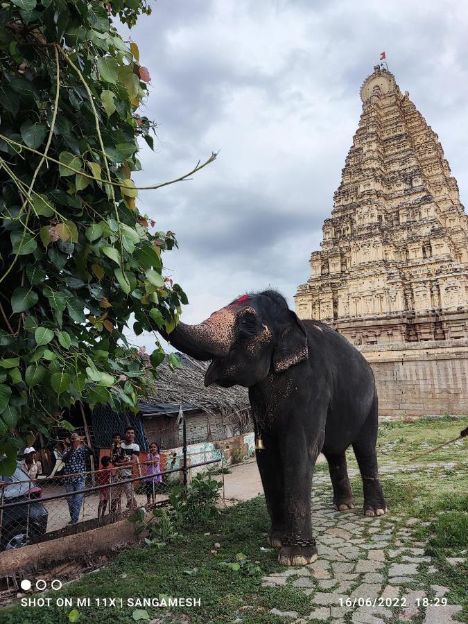 Temple View Guest House Hampi Exterior photo